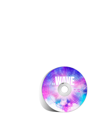 The Wave DVD